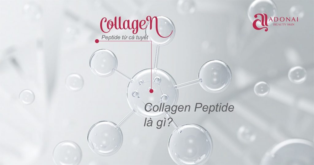 Collagen Là Gì? Công Dụng Tuyệt Vời Collagen Mang Lại Cho Da